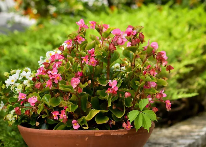 Appartamento Irena Pola